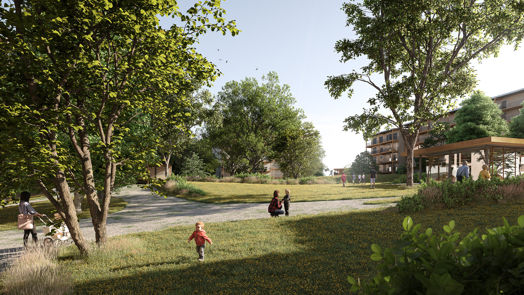 Dorniacker